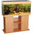 AQUARIO CARIBEAN