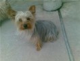 /album/galeria-de-fotos-animais/getattachment7-jpg/